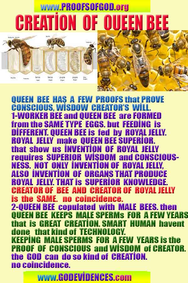 #ALLAH, #god, evidences god, evidences-god,proofs of god, evidences of god, god-proofs, god-signs, god-evidences, god exists, god-real, god is real,god-exists, #god, #godreal, #godexists, #godproofs, #godevidences