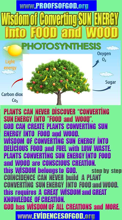 ALLAH, #god, evidences god, evidences-god,proofs of god, evidences of god, god-proofs, god-signs, god-evidences, god exists, god-real, god is real,god-exists, #god, #godreal, #godexists, #godproofs