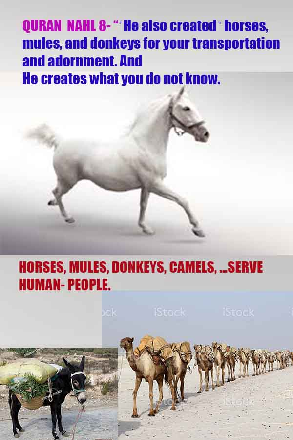 #god, evidences god, evidences-god,proofs of god, evidences of god, god-proofs, god-signs, god-evidences, god exists, god-real, god is real,god-exists, #god, #godreal, #godexists, #godproofs, #godevidences