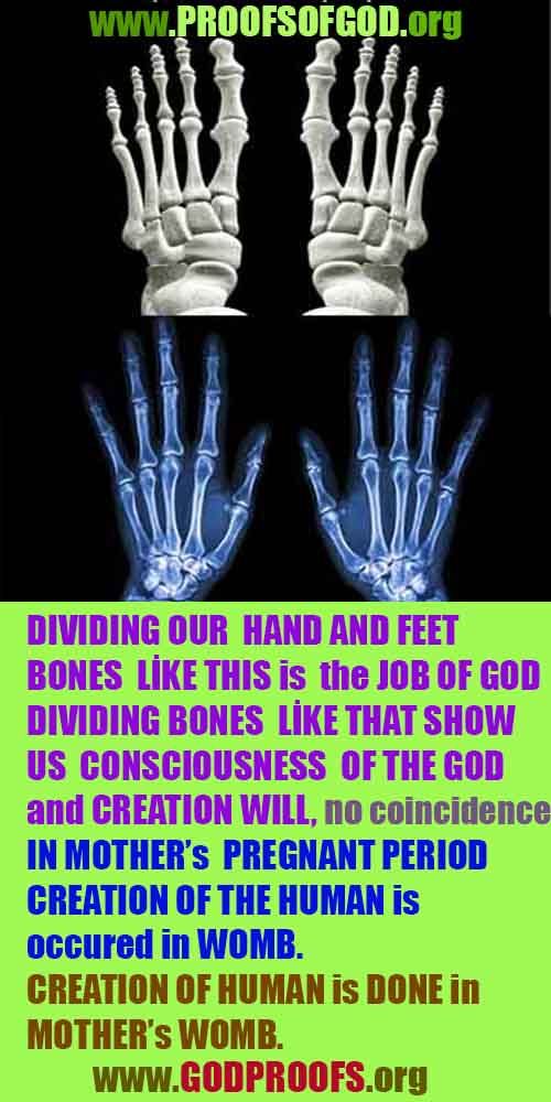 evidences god, evidences-god,proofs of god, evidences of god, god-proofs, god-signs, god-evidences, god exists, god-real, god is real,god-exists, #god, #godreal, #godexists, #godproofs
