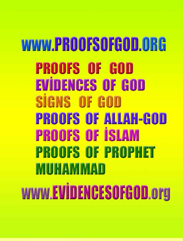 ALLAH, #god,evidences god, evidences-god,proofs of god, evidences of god, god-proofs, god-signs, god-evidences, god exists, god-real, god is real,god-exists, #god, #godreal, #godexists, #godproofs, #godevidences